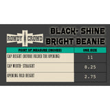 Turquoise Shine Bright Beanie