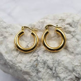 Gold Thick Hoop Earrings