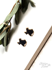 Texas On My Mind Druzy Stud Earrings Black