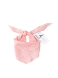 Paisley Print Scarf with Scalloped Lace Edge – Pink