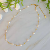 Ashley Freshwater Pearl Necklace - Gold Chain Pearl Necklace