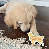 Stay Golden Cute Golden Retriever Dog Vinyl Sticker