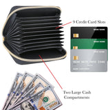 Rebecca & Rifka Snake Print Accordion Wallet