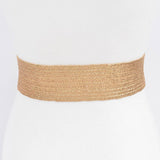Gold Wide Square Buckle Plus Size Clear Elastic Belt