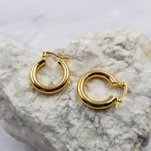 Gold Thick Hoop Earrings