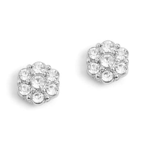 Silver Blooming Flower with Crystals Stud Earrings