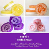 Set of 4 Fragranced Loofah Soaps -Fruity, Fresh, Relaxing, Clean
